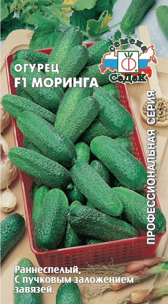 Огурец Моринга F1