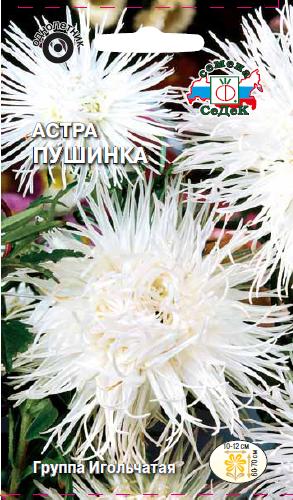 Астра Пушинка
