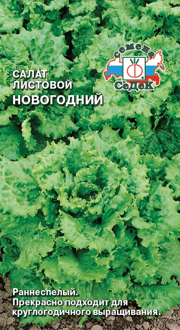 Салат Новогодний