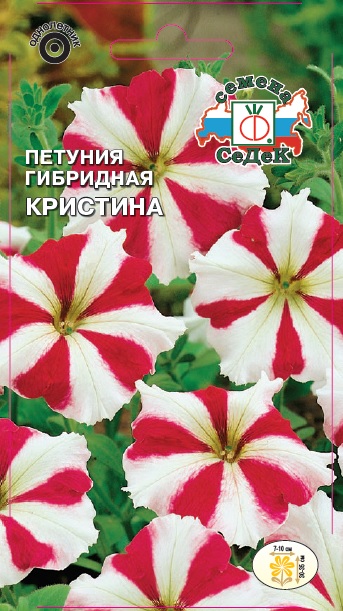 Петуния Кристина F1 компактная