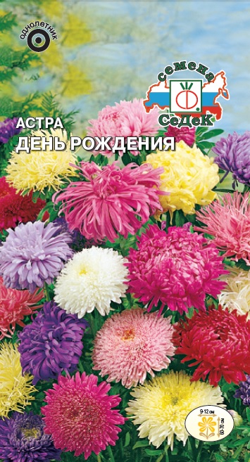 Астра День рождения