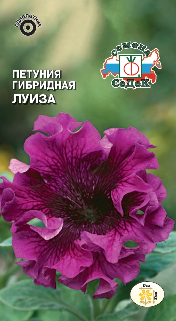 Петуния Луиза превосходнейшая
