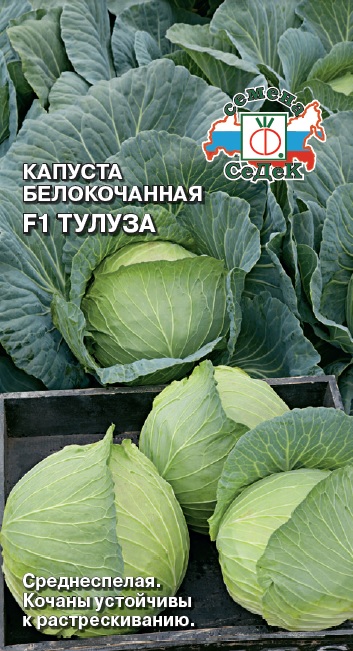 Капуста Тулуза F1 (белокочанная)