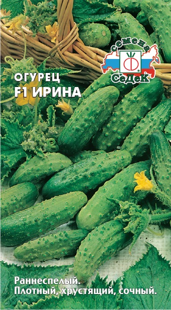 Огурец Ирина F1