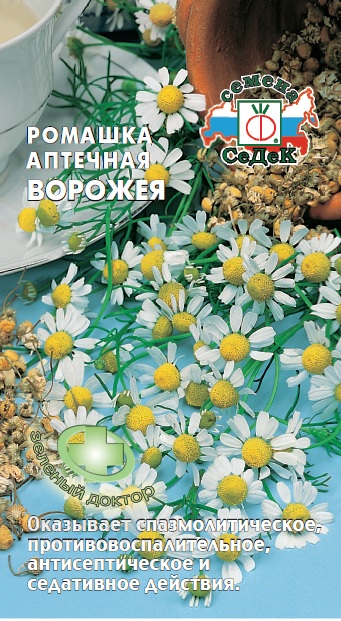 Ромашка аптечная Ворожея