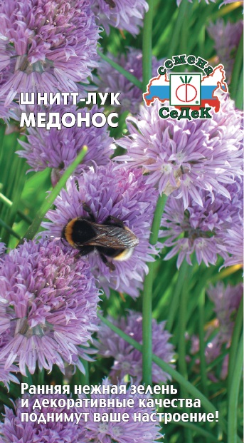 Лук Медонос