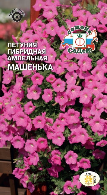 Петуния Машенька гибридная ампельная