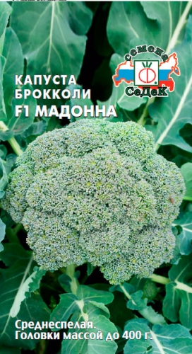 Капуста Мадонна F1