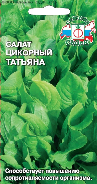 Салат цикорный Татьяна