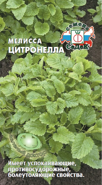 Мелисса Цитронелла