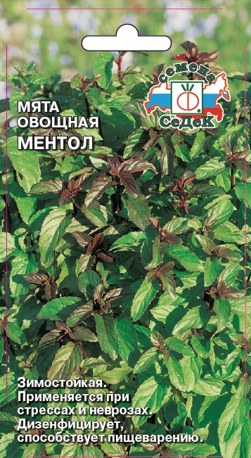 Мята овощная Ментол