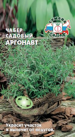 Чабер садовый Аргонавт