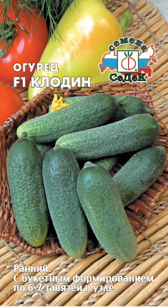Огурец Клодин F1