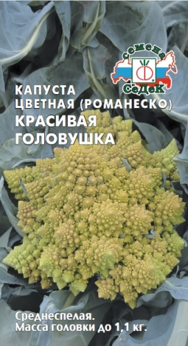 Капуста Красивая головушка F1