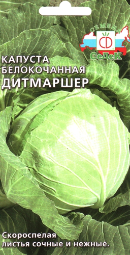 Капуста Дитмаршер