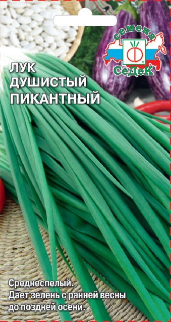 Лук Пикантный