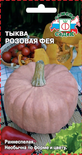 Тыква Розовая Фея