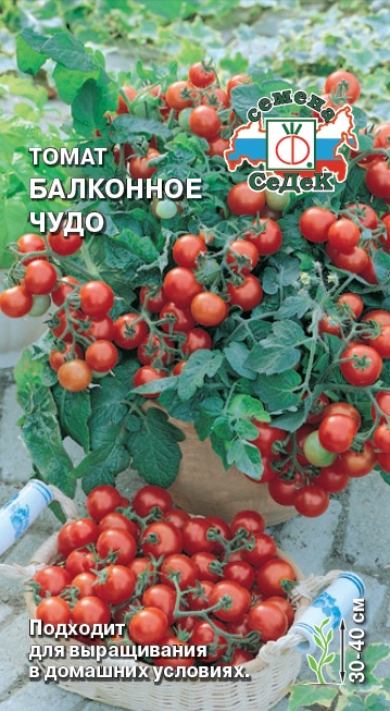 Томат Балконное Чудо