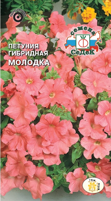 Петуния Молодка гибридная