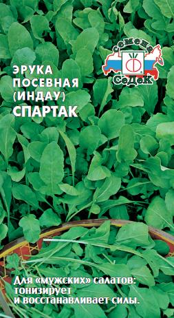 Эрука (индау) Спартак