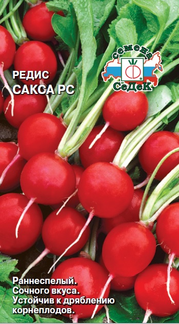 Редис Сакса РС