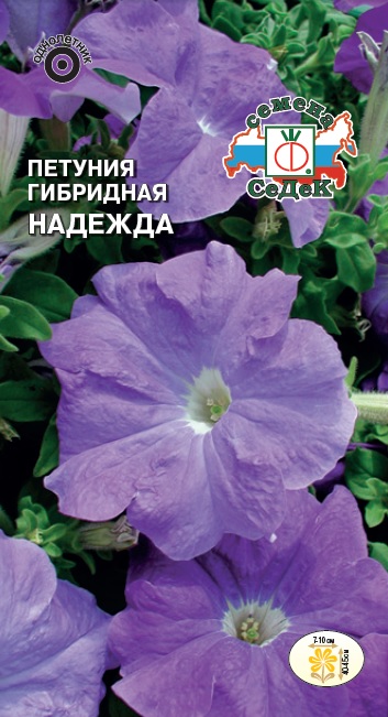 Петуния Надежда гибридная