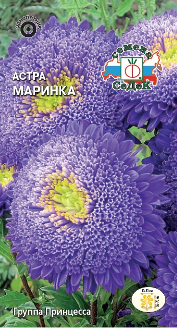 Астра Маринка