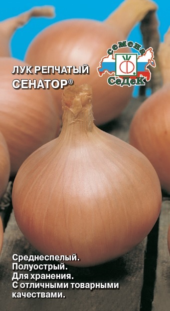 Лук Сенатор