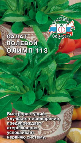 Салат Олимп 113