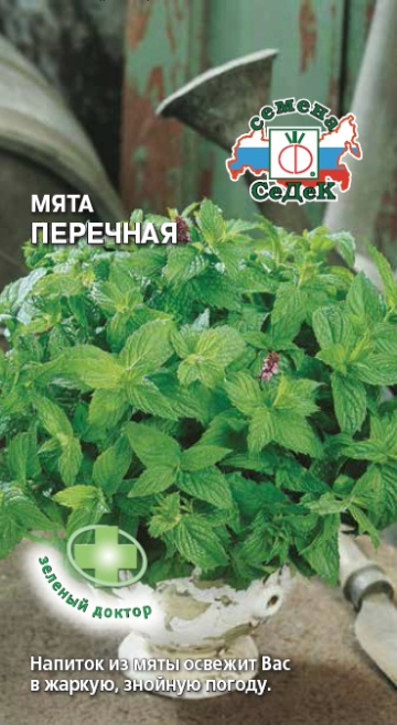 Мята Перечная