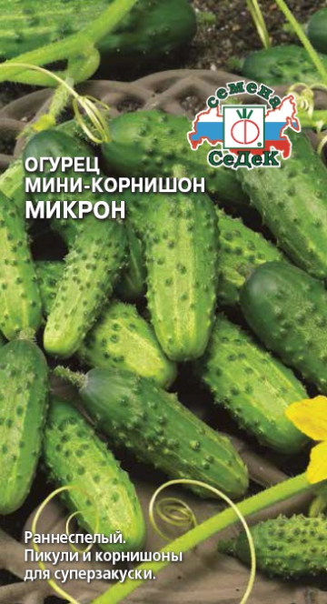 Огурец Микрон