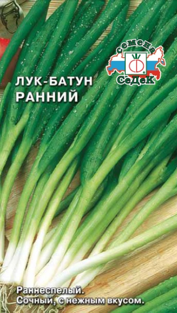 Лук Ранний