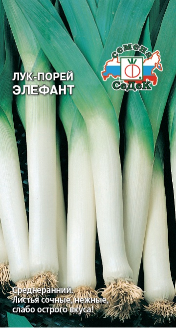 Лук Элефант