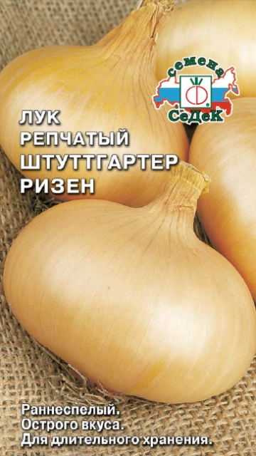Лук Штуттгартер Ризен