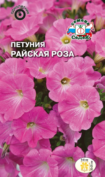 Петуния Райская роза