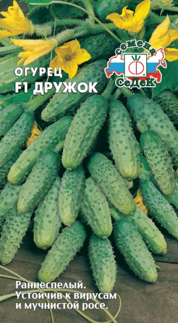 Огурец Дружок F1