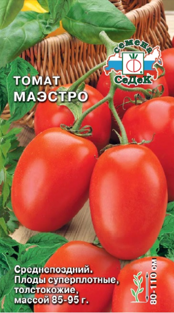 Томат Маэстро
