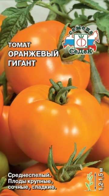 Томат Оранжевый гигант