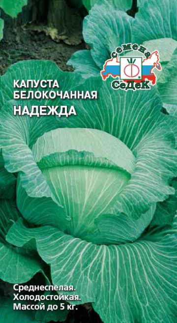 Капуста Надежда