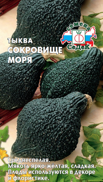 Тыква Сокровище моря