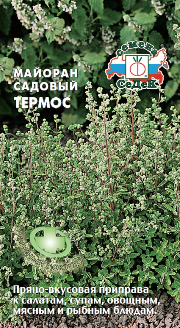 Майоран садовый Термос