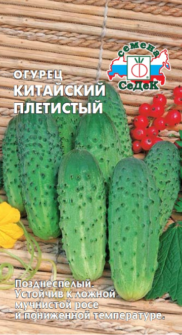 Огурец Китайский Плетистый