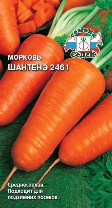 Морковь Шантенэ 2461