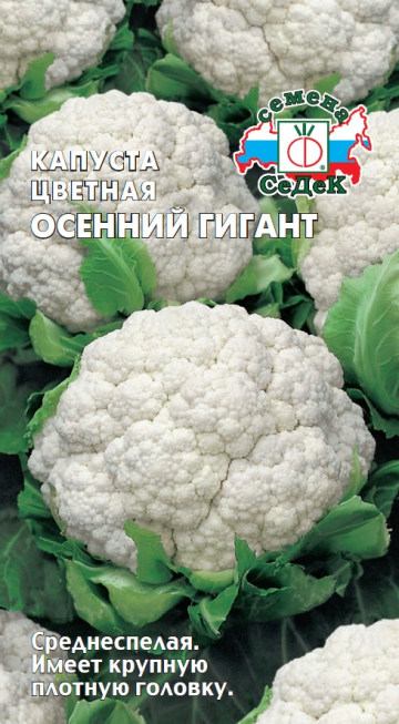 Капуста Осенний гигант