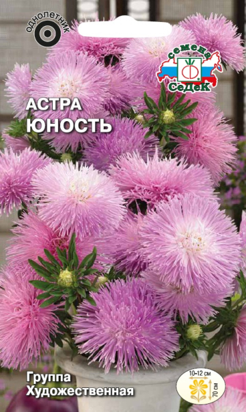 Астра Юность