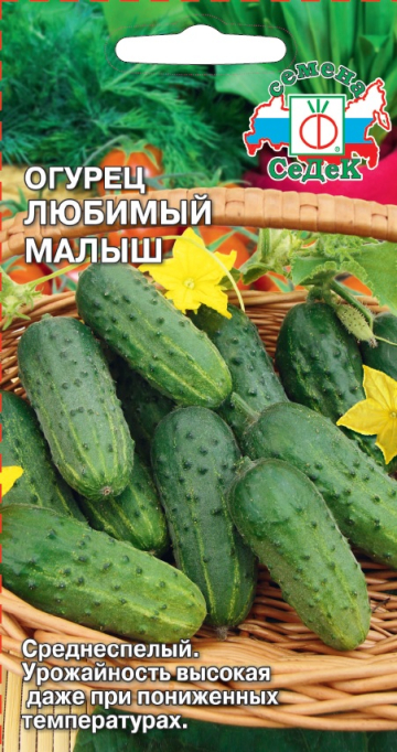 Огурец Любимый малыш