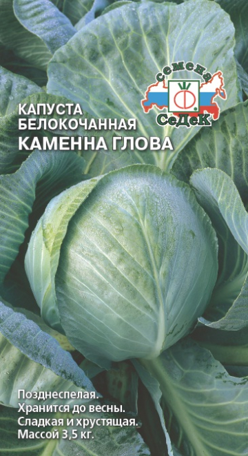 Капуста Каменна глова