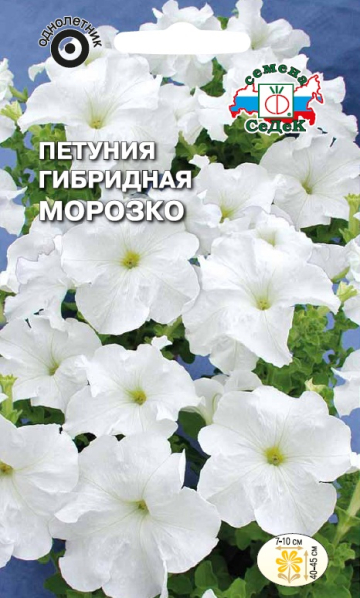 Петуния Морозко гибридная