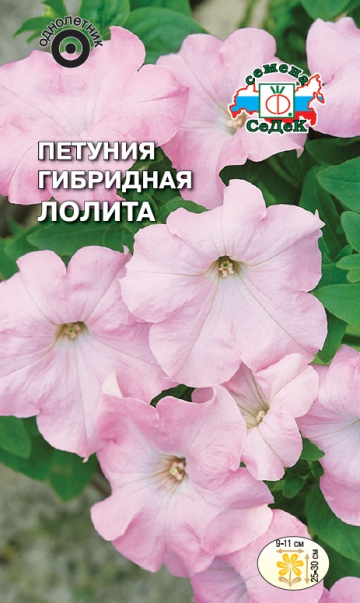 Петуния Лолита гибридная