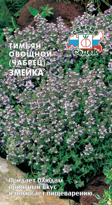 Тимьян овощной (чабрец) Змейка